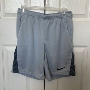 Nike Dri-Fit Shorts Light Gray Adult S